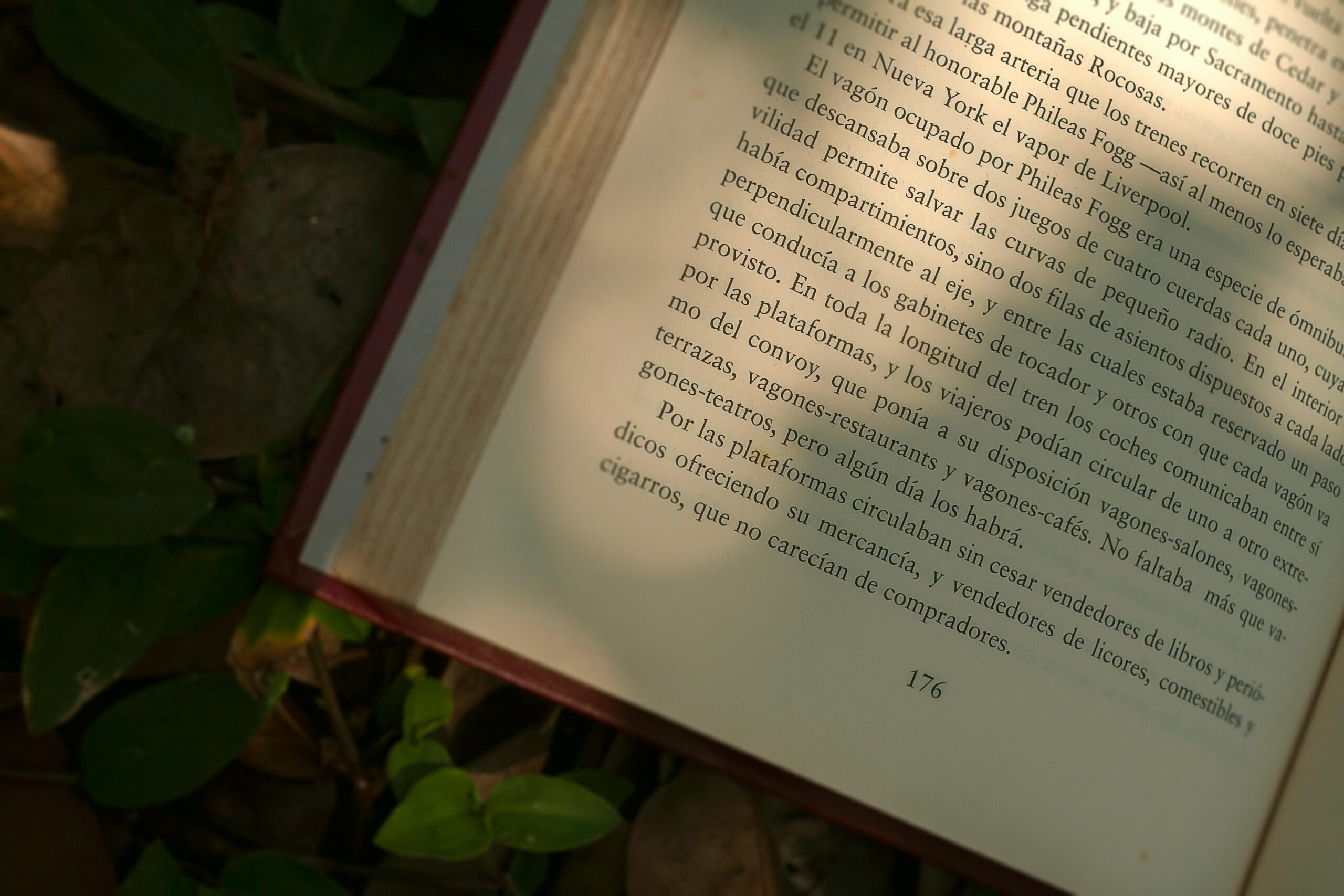 Libro abierto al aire libre, club de lectura
